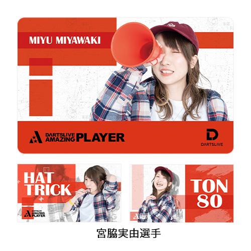 【限定】TIGA OFFICIAL PLAYER カード ダーツライブ 限定】TIGA OFFICIAL PLAYER カード ダーツライブ レア品・3点