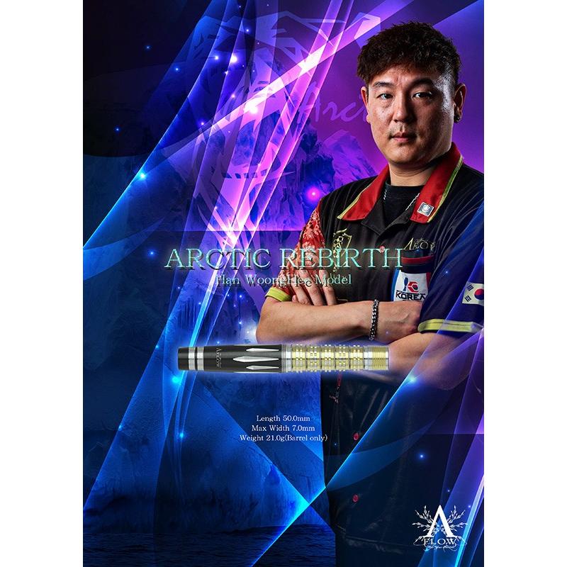 ダーツ バレル ダイナスティー DYNASTY ARCTIC REBIRTH アークティックリバース Han WoongHeeモデル(ポスト便OK/10トリ) |  | 04