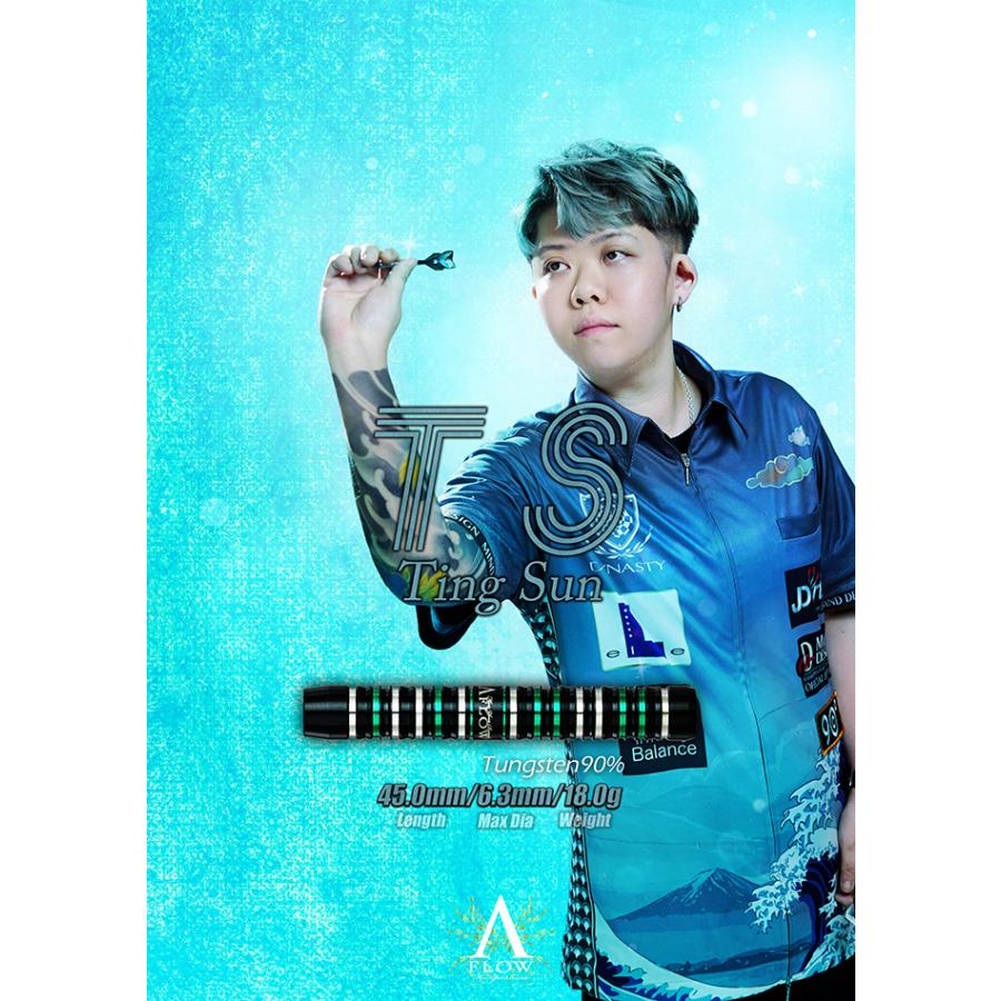 SALE ダーツ バレル ダイナスティー DYNASTY A-FLOW TS Ting Sun選手モデル |  | 05