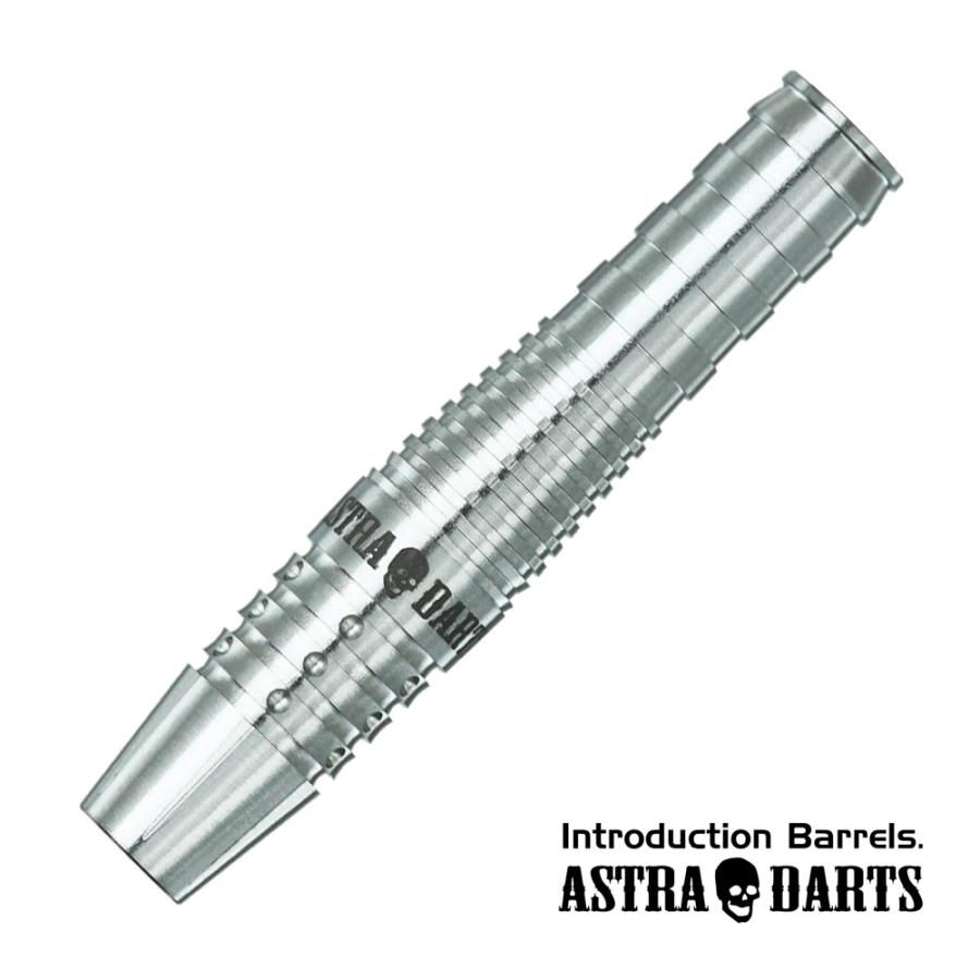 ダーツ バレル ASTRA DARTS DYNASTY T-arrow6 Plain 谷内太郎 選手モデル アストラダーツ (ポスト便OK/5トリ) | 