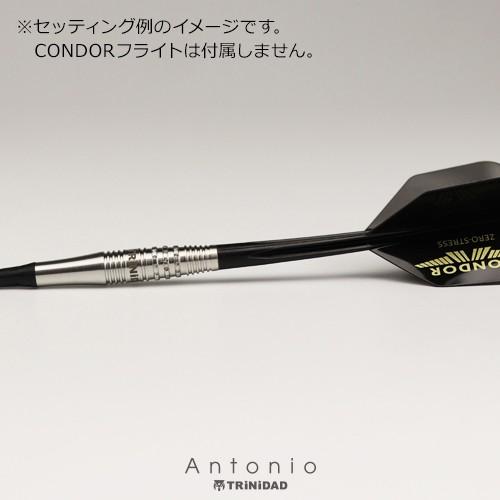 ダーツ バレル トリニダード プロ アントニオ TRiNiDAD PRO Antonio (ポスト便OK/5トリ)｜dartsshoptito｜10