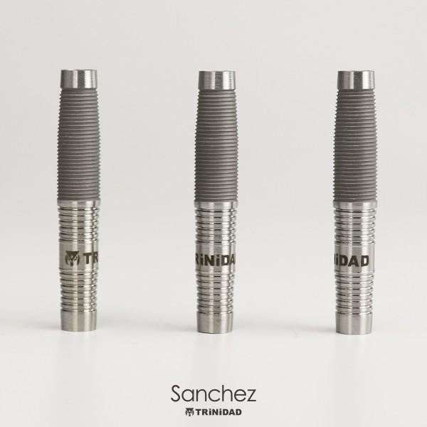 Hamilton - トリニダートのダーツバレルサンチェスです バレル【トリニダード】サンチェス 石橋一馬モデル｜ダーツ用品