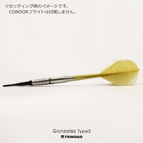 ダーツ バレル トリニダード プロ ゴンザレス3 TRiNiDAD PRO Gonzalez type 3 西哲平 考案モデル | TRiNiDAD | 04