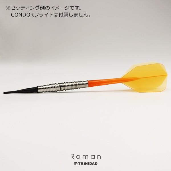 ダーツ バレル トリニダード プロ ローマン TRiNiDAD PRO Roman 宮脇実由 考案モデル 2BA くま｜dartsshoptito｜07