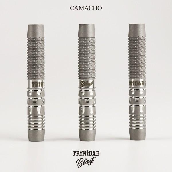 TRiNiDAD（トリニダード） ダーツ バレル 数量限定 TRiNiDAD PRO