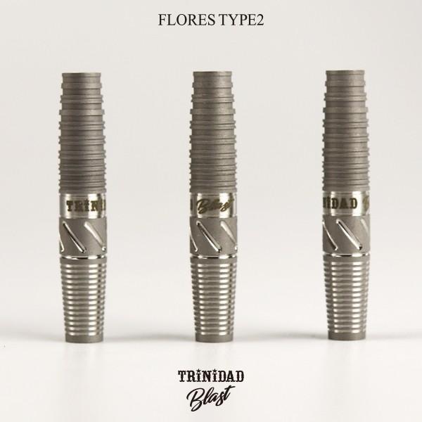 TRiNiDAD（トリニダード） ダーツ バレル 数量限定 TRiNiDAD PRO