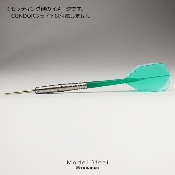 ダーツ バレル トリニダード プロ メデル TRiNiDAD PRO Medel | TRiNiDAD | 12