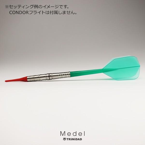 ダーツ バレル トリニダード プロ メデル TRiNiDAD PRO Medel | TRiNiDAD | 06
