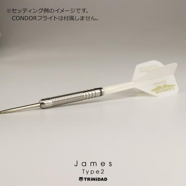 ダーツ バレル トリニダード プロ ジェームズ2 Trinidad Pro James 2 James Bailey ジェームズ ベイリー 考案モデル 2ba Steel Ba Tri 011 Darts Shop Tito Yahoo 店 通販 Yahoo ショッピング