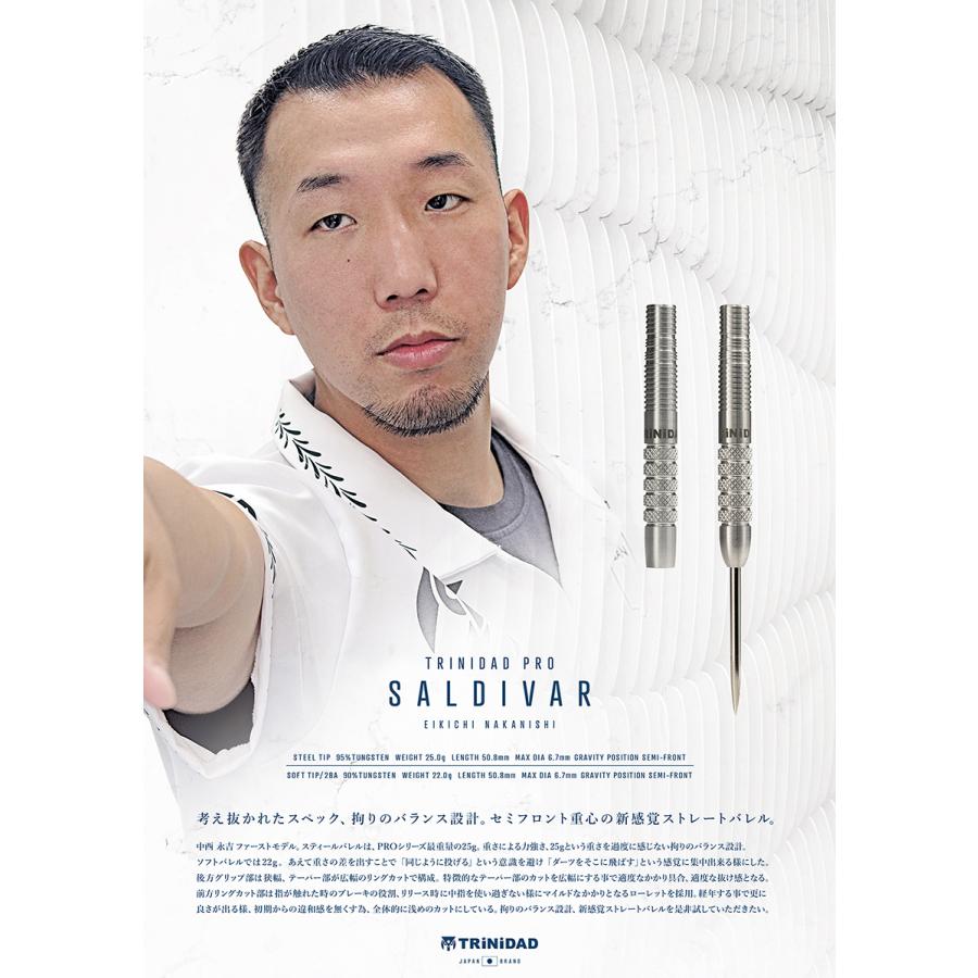 TRiNiDAD（トリニダード） ダーツ バレル TRiNiDAD PRO Saldivar 中西
