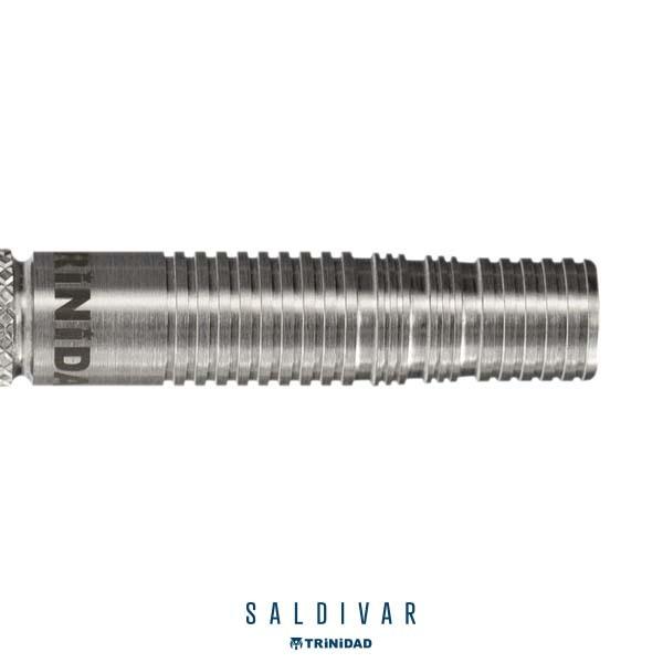 TRiNiDAD（トリニダード） ダーツ バレル TRiNiDAD PRO Saldivar 中西