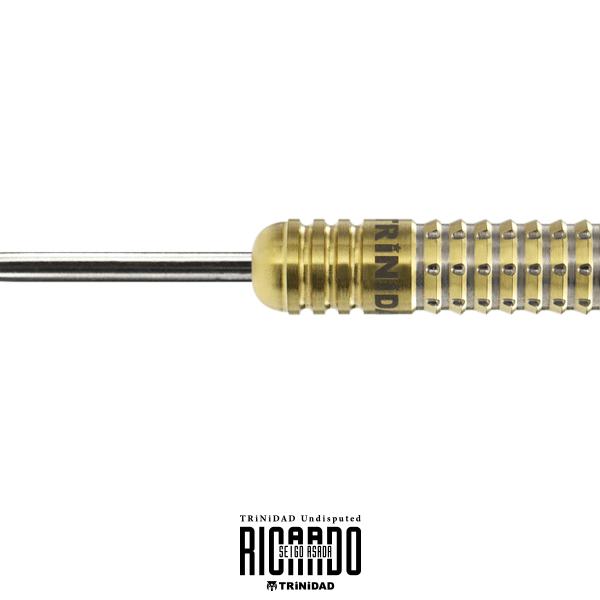 ダーツ バレル TRiNiDAD Undisputed RICARDO 浅田斉吾 選手モデル トリニダード アンディスピューティド リカルド |  | 09