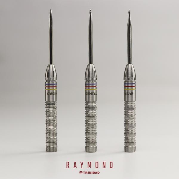 ダーツ バレル TRiNiDAD PRO Raymond トリニダード プロ レイモンド 選手モデル (ポスト便OK/5トリ)｜dartsshoptito｜14