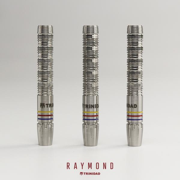 ダーツ バレル TRiNiDAD PRO Raymond トリニダード プロ レイモンド 選手モデル (ポスト便OK/5トリ) |  | 06