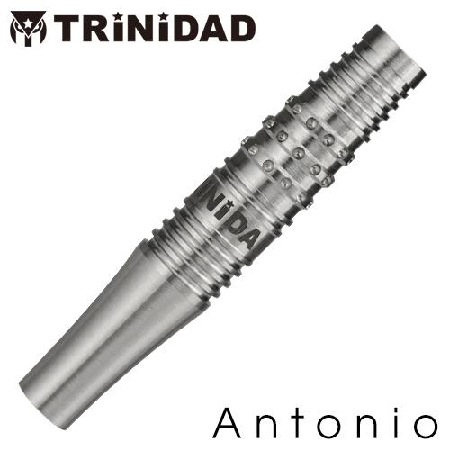 ダーツ バレル TRiNiDAD SALE トリニダード セール ソフトバレルver Flores Antonio Adrian | TRiNiDAD | 02