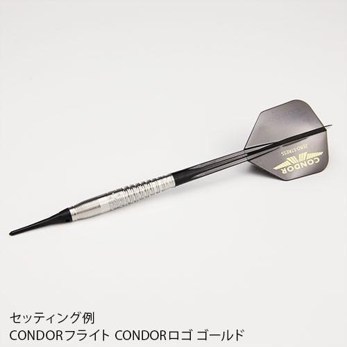 ダーツ バレル トリニダード プロ レオン2 TRiNiDAD PRO Leon type 2 一宮弘人 考案モデル | TRiNiDAD | 04
