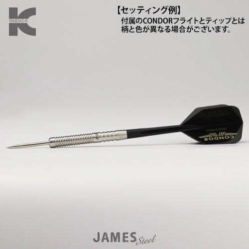 ダーツ バレル トリニダード ケイ TRiNiDAD K JAMES STEEL ジェームス スティール | TRiNiDAD | 05