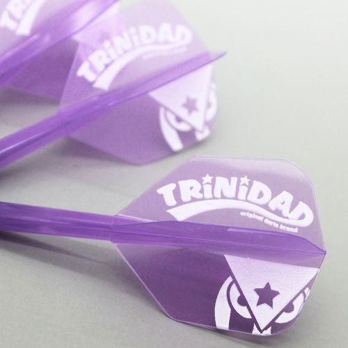 ダーツ フライト CONDOR コンドル TRiNiDADロゴ Ver.2 スモールL クリアパープル | CONDOR（ダーツ） | 01