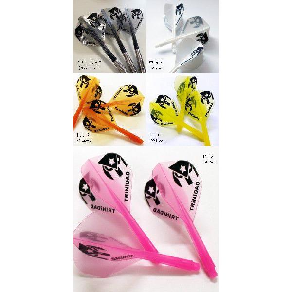 ダーツ フライト CONDOR コンドル TRiNiDADロゴ Ver.1 スタンダード | CONDOR（ダーツ） | 01
