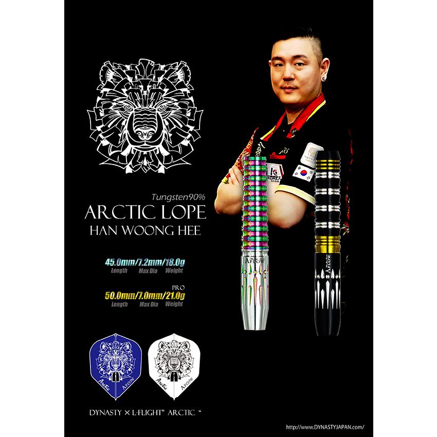 SALE ダーツ フライト ダイナスティー DYNASTY×L-Flight PRO ARCTIC ハン・ウニモデル |  | 05