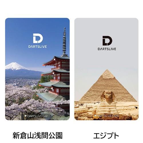 ダーツ DARTSLIVE CARD ライブカード バラエティ オンライン