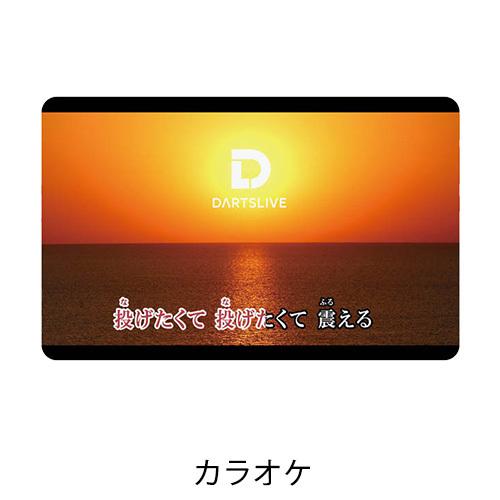 ダーツ DARTSLIVE CARD ライブカード カラオケ 葉巻 施設(ポスト便OK/1トリ) |  | 02