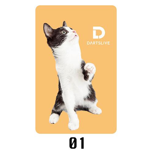 ダーツ DARTSLIVE CARD ライブカード 202206-1(ポスト便OK/1トリ