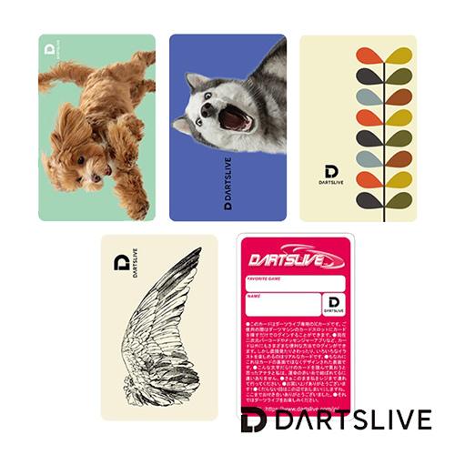 ダーツ DARTSLIVE CARD ライブカード 051 06-10 : Darts Shop