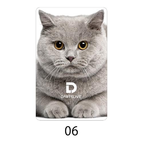 ダーツ DARTSLIVE CARD ライブカード 052 06-10 |  | 01