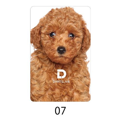 ダーツ DARTSLIVE CARD ライブカード 052 06-10 |  | 02