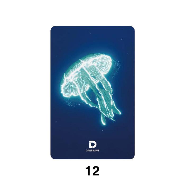 ダーツ DARTSLIVE CARD ライブカード ダーツライブカード 55-3