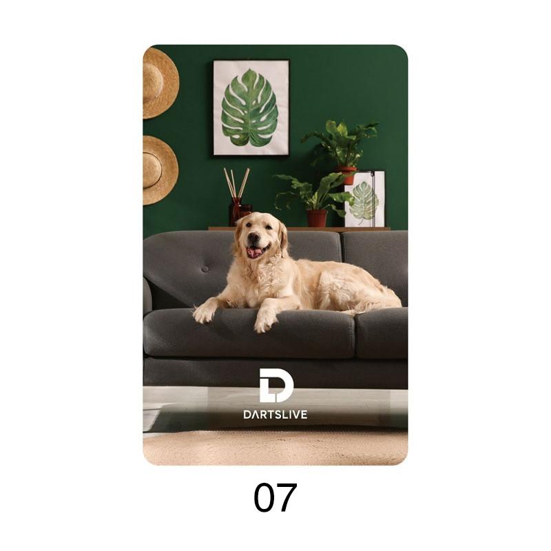 動作確認済み DARTSLIVE  Darts] Darts Live 2EX segment exchange! - YouTube