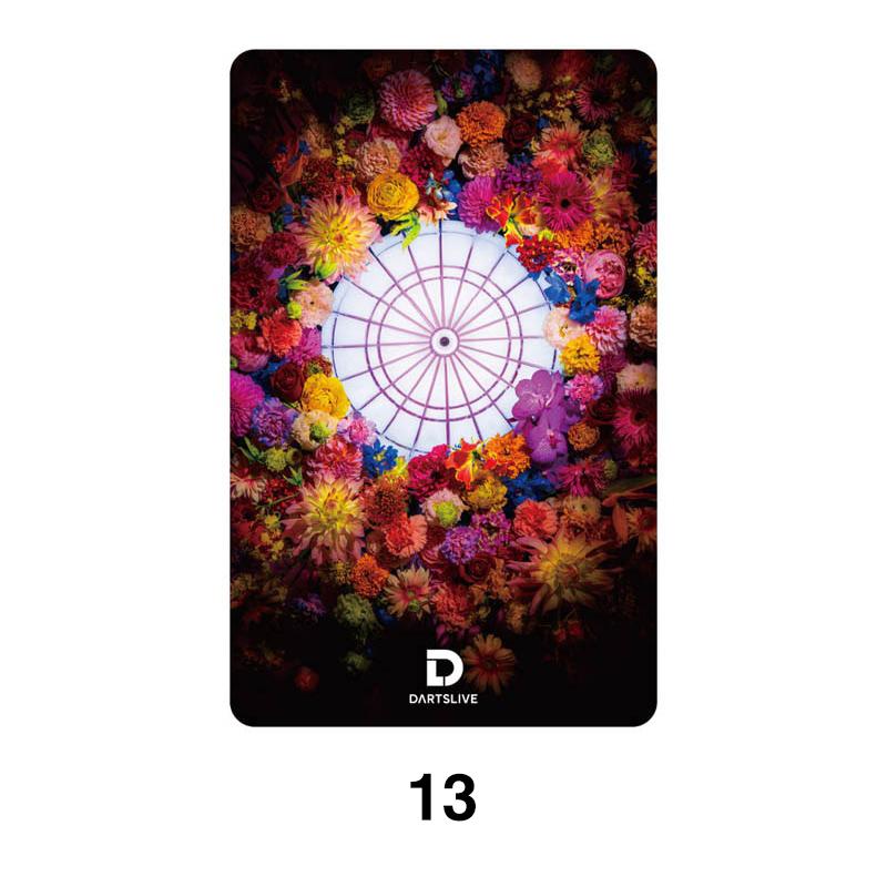 ダーツ DARTSLIVE CARD ライブカード ダーツライブカード 57-3 (ポスト便OK/2トリ) |  | 03