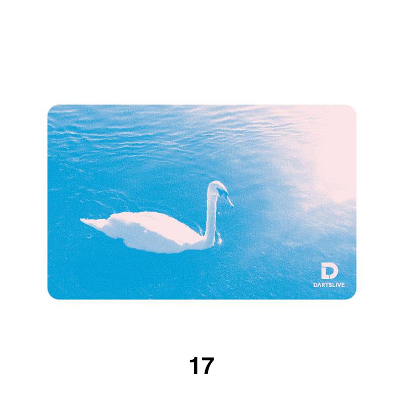 DARTSLIVE  美品 dartsshoptito_oc-dlv-092-