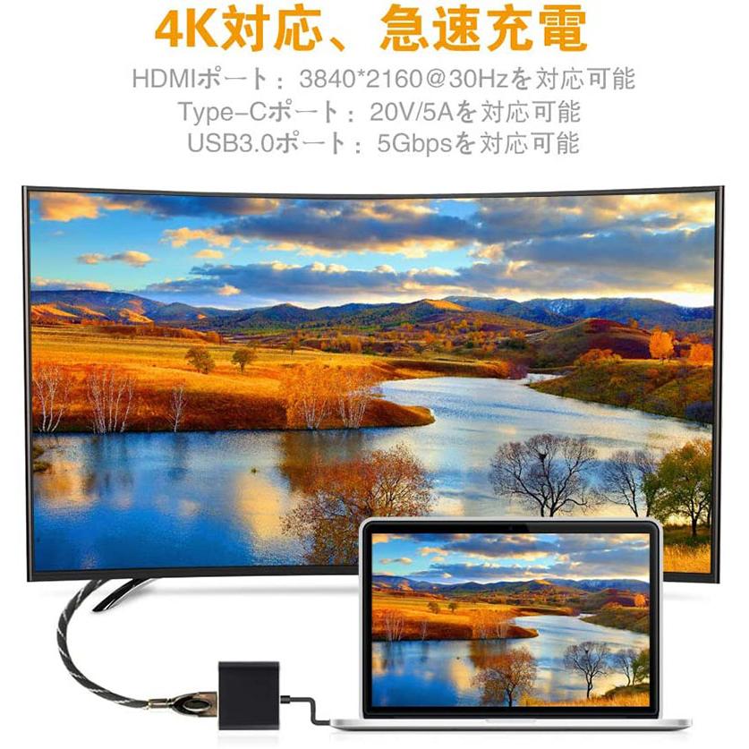 Type-C to HDMI 変換アダプタ USB Switch 4K ニンテンドー アダプタ モニター 映像 ディスプレイ 出力 Macbook PDポート Chromebook Android ad-swhdmihen｜darumadenki｜03