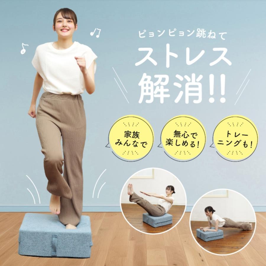 ALINCO アルインコ クッショントランポリン 50×50cm ポケットコイル