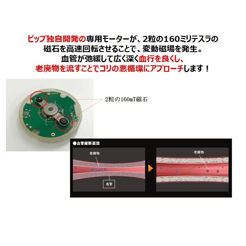 プロも使っているピップ PIP ピップ Z：SPINNER 本体1個 ジースピナー PZS1ST33 肩こり 磁石