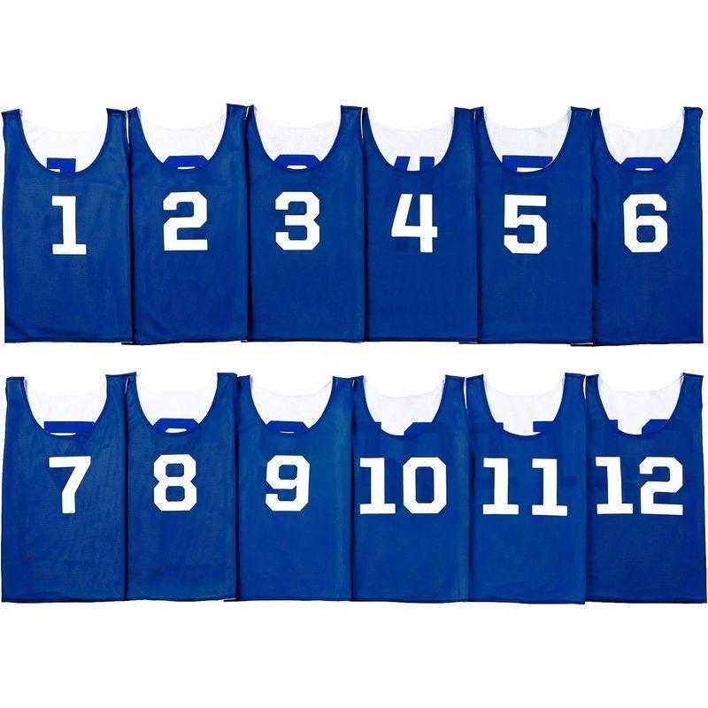 ATHLETIC MART ビブス(リバーシブル)1?12番 裏表前後ろ番号あり 12枚セット 収納メッシュランドリーバッグ付 (青ブルー) MART ビブス リバーシブル 12番 裏表前後ろ番号あり 12枚セット 収納メッシュランドリーバッグ付 青ブルー