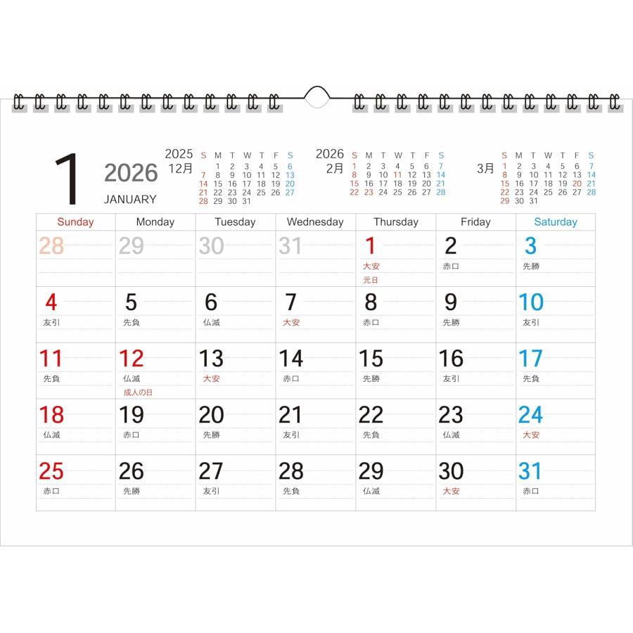 2026年カラー壁掛けリングカレンダー SP-1_A4 人気 エコで見やすく使いやすく便利 SIMPLE IS BESTシリーズ A4 13枚タイプ | 