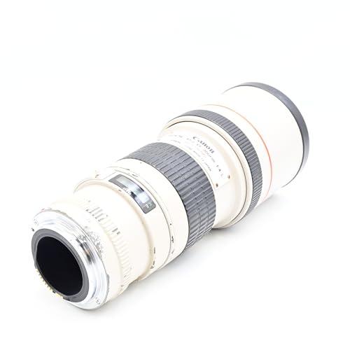 Canon キャノン EF 300mm F4L USM 高級単焦点レンズ カメラ