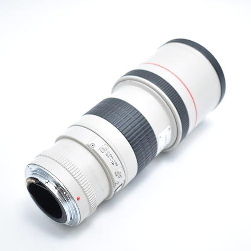 Canon キャノン EF 300mm F4L USM 高級単焦点レンズ カメラ