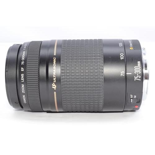 Canon キャノン EF 75-300mm F4-5.6 II 動作OK EF75-300mm F4-5.6 II USM - キヤノンカメラミュージアム