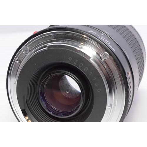 Canon キヤノン EF 75-300mm F4-5.6 II : DashDash - 通販