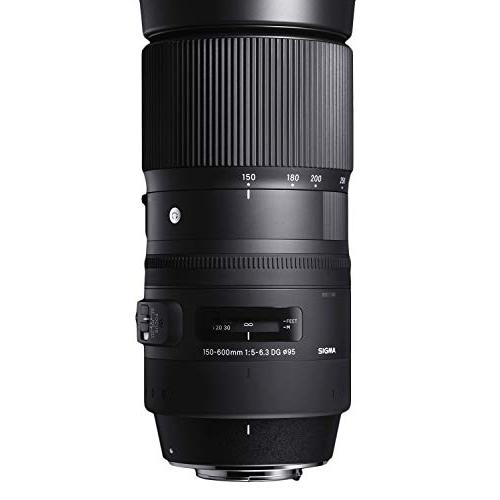SIGMA - シグマ　150-600mm キャノンマウント　美品 シグマ(Sigma) レンズ 150-600mm F5-6.3 DG OS HSM Canon