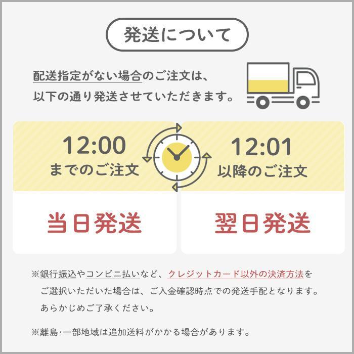 【花海公式】【1位常連】メイキンビーズ アクセサリーキット メイキングトイ ハンドメイド ビーズおもちゃ 知育玩具 アクセサリー キット  カチューシャ |  | 15
