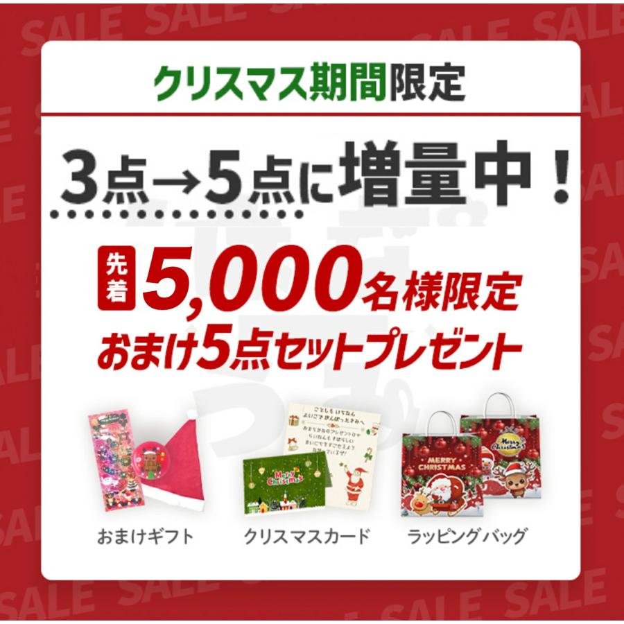 【30%OFF★サンタ帽子★ラッピング無料】106 129 133 135 156 お絵描きセット お絵かきセット 5歳 6歳  誕生日 プレゼント 小学生 お絵描き お絵かき クレヨン |  | 05