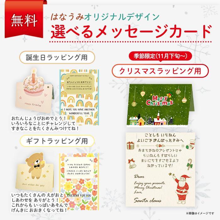 【ラッピング無料】大工さんセット 木製 工具セット おもちゃ 知育玩具 3歳 4歳 木のおもちゃ モンテッソーリ 誕生日プレゼント |  | 03