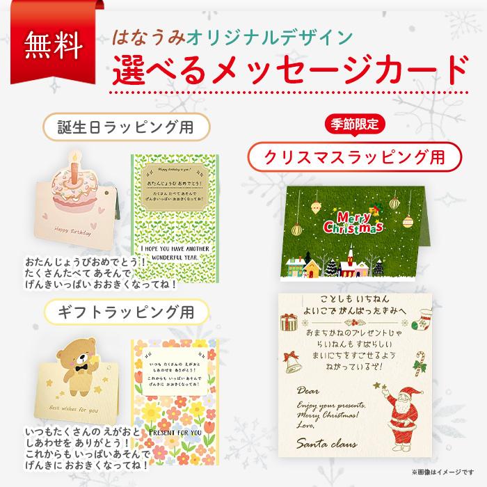 【サンタ帽子★ラッピング無料】 バスタブタートル お風呂 おもちゃ カメ 2WAY 水遊び キャスター付き 知育玩具 音楽 10ヶ月 出産祝い | ブランド登録なし | 03