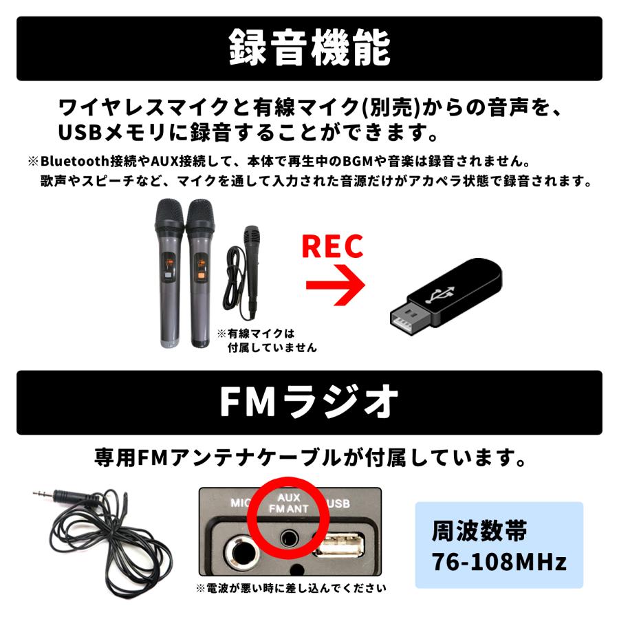 （特別特価） ポータブルスピーカー TY-1900 チコニア ワイヤレス2本付き Bluetooth ワイヤレス LEDライト 野外 屋外 室内 イベント アウトドア 音楽 ciconia | CICONIA | 06