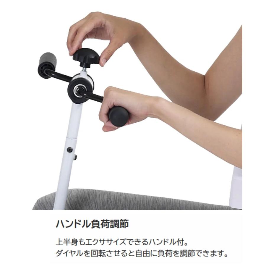 アルインコ フィットネスマシン 座りながら運動 スイングアームサイクル エクササイズ 全身運動 初心者 カンタン ながら運動 スイングアームサイクル ALINCO | ALINCO | 02